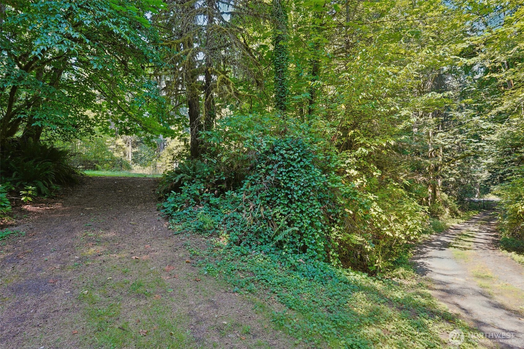 29021 NE 52nd Street Carnation WA 98014