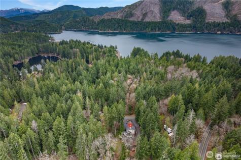 81 N Fawn Drive Hoodsport WA 98548