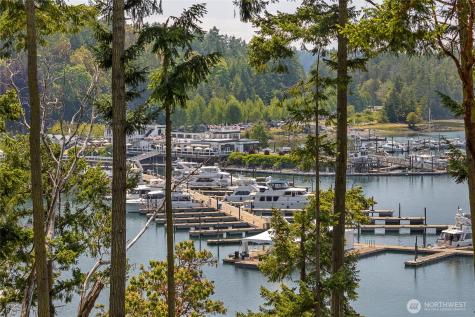 247 Afterglow Drive Friday Harbor WA 98250