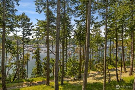 247 Afterglow Drive Friday Harbor WA 98250