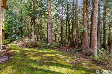 102 Olympic Lane Port Ludlow WA 98365