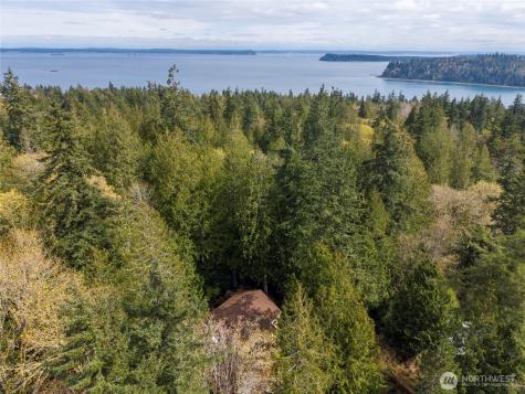 102 Olympic Lane Port Ludlow WA 98365
