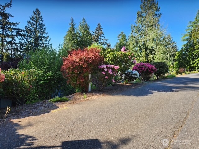 300 Morey Avenue Bellingham WA 98225