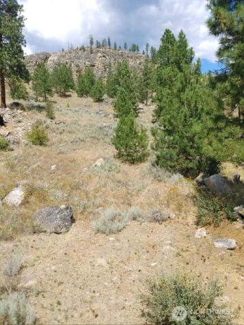 83 E Cayuse Mountain Road Tonasket WA 98855