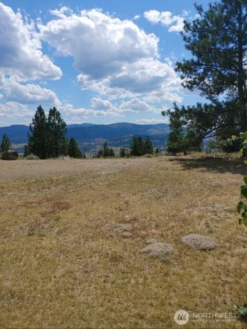 83 E Cayuse Mountain Road Tonasket WA 98855