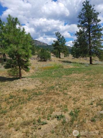 83 E Cayuse Mountain Road Tonasket WA 98855