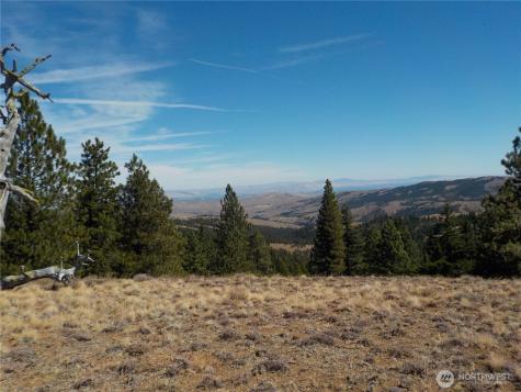 83 E Cayuse Mountain Road Tonasket WA 98855