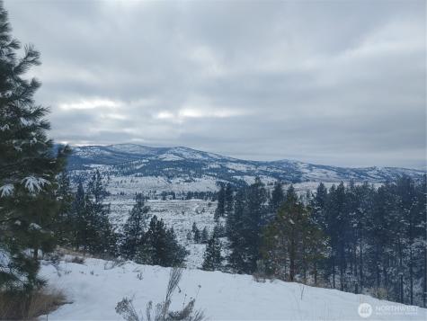 83 E Cayuse Mountain Road Tonasket WA 98855