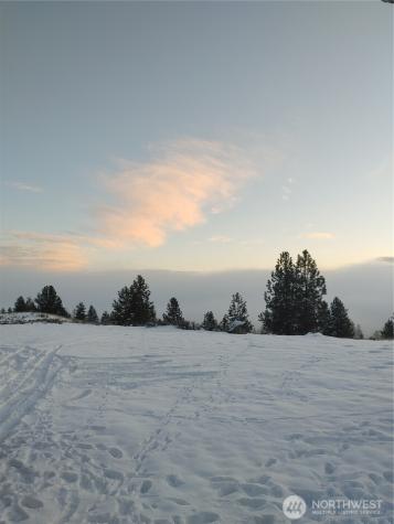 83 E Cayuse Mountain Road Tonasket WA 98855
