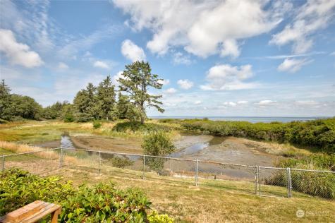 774 Wakina Loop SE Ocean Shores WA 98569