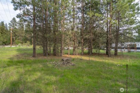 4 Cartwright Drive Tonasket WA 98855