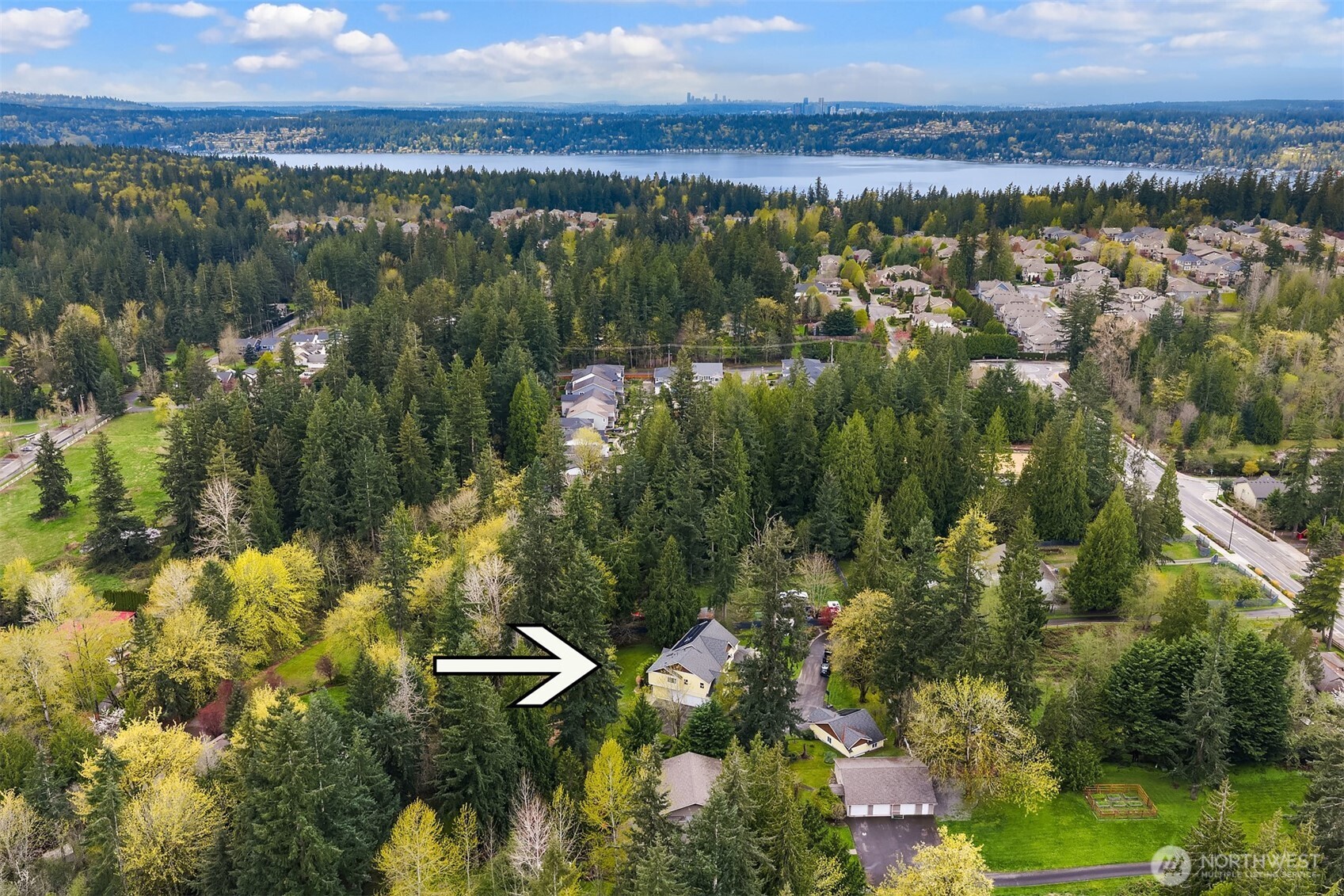 22017 SE 4th Street Sammamish WA 98074