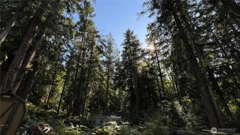 63388 E Ross Place Marblemount WA 98267