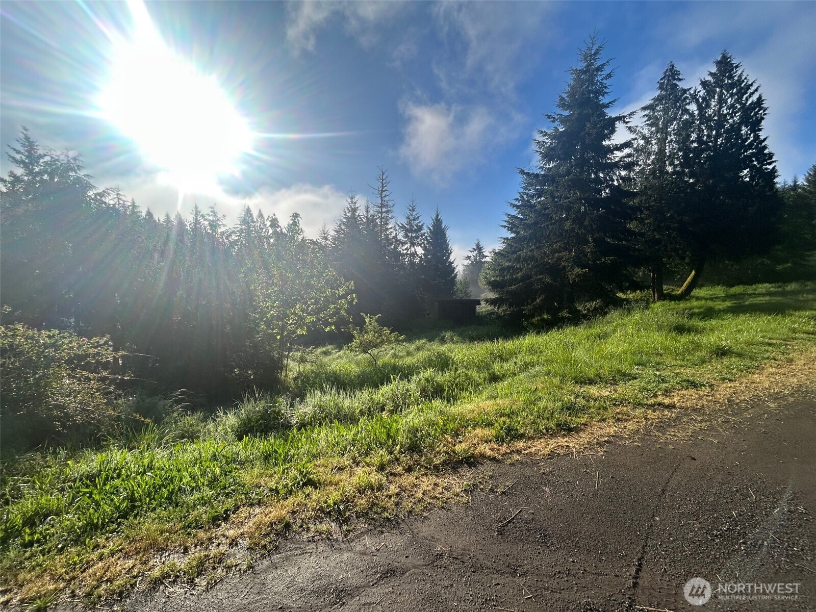 153 Ravena Lane Kelso WA 98626