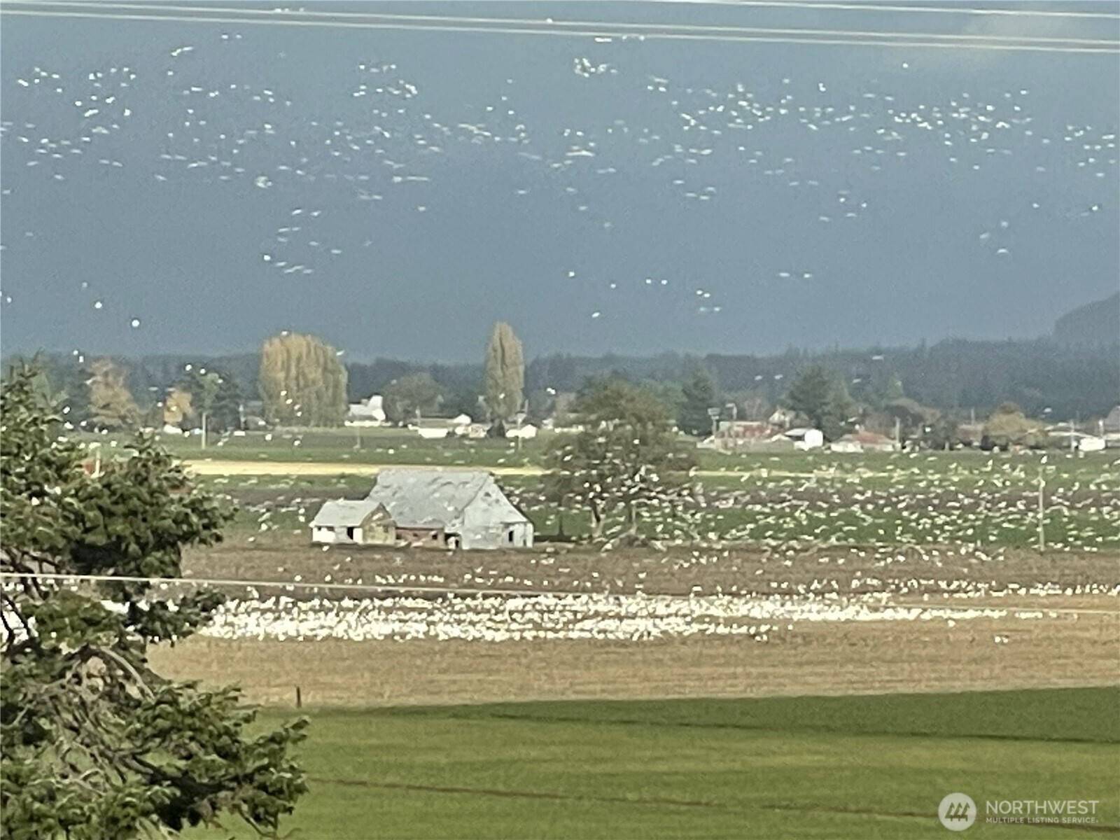 18122 Best Road Mount Vernon WA 98273