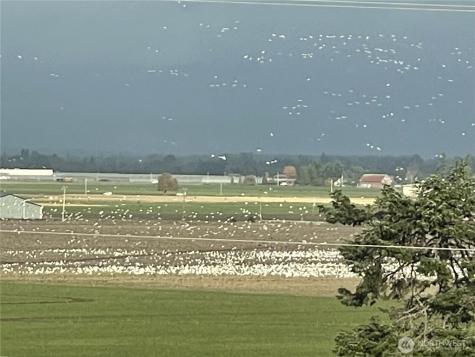 18122 Best Road Mount Vernon WA 98273