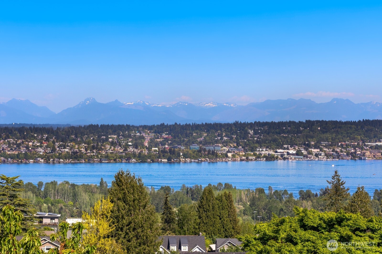 7044 50th Avenue NE Seattle WA 98115