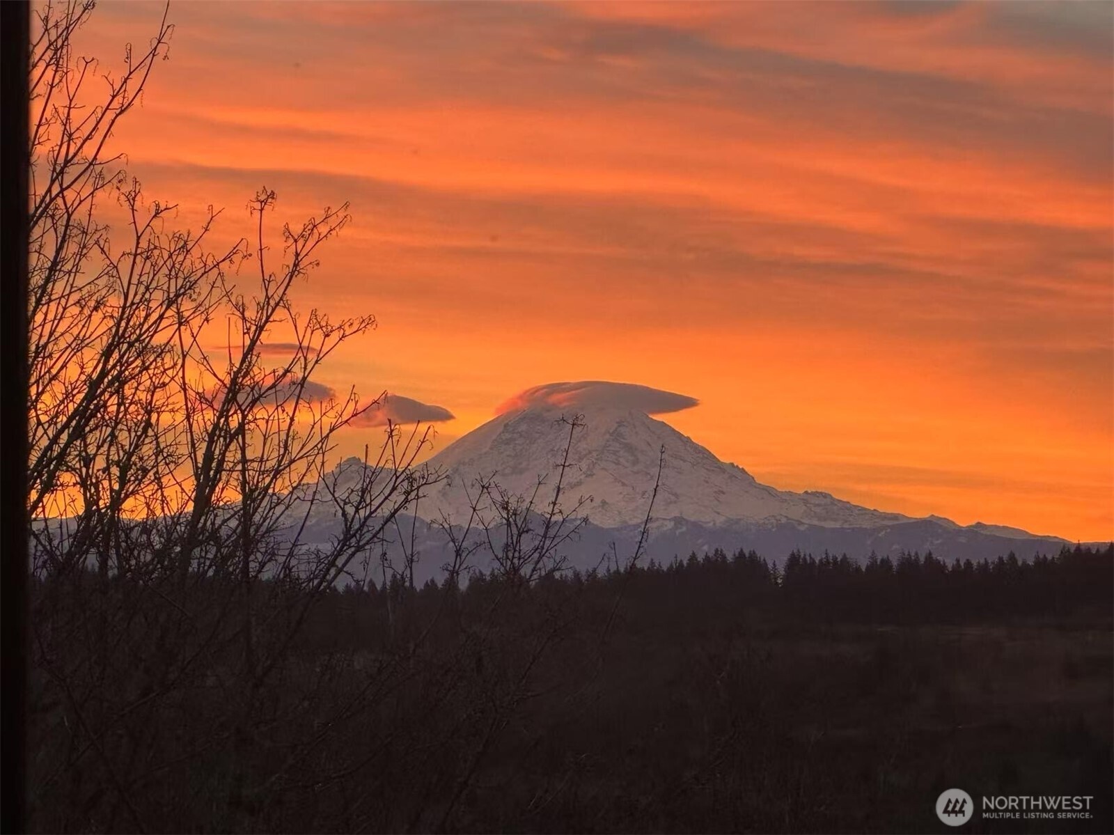 14635 SE 56th Street Bellevue WA 98006