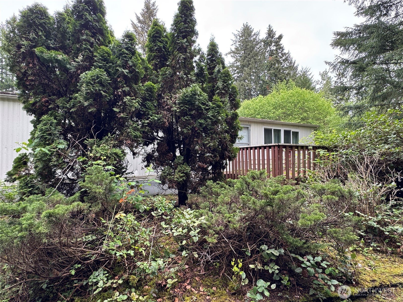 13219 202nd Street E Graham WA 98338