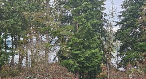 21324 61st Street Ct E Bonney Lake WA 98391