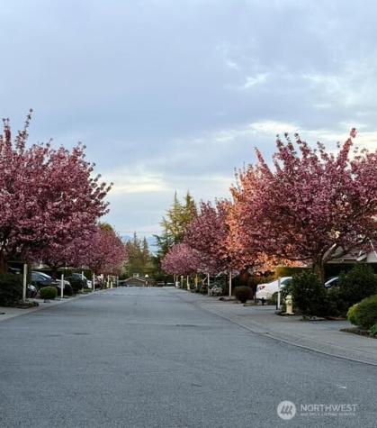 15414 35th Avenue W Lynnwood WA 98087