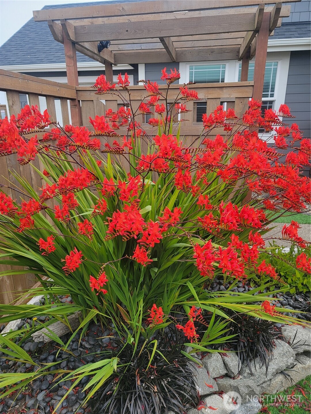1116 Ocean Shores Boulevard SW Ocean Shores WA 98569