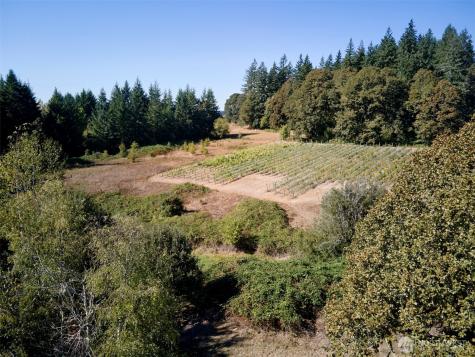 11700 NE 279th Street Battle Ground WA 98604