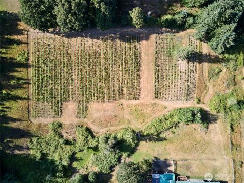 11700 NE 279th Street Battle Ground WA 98604