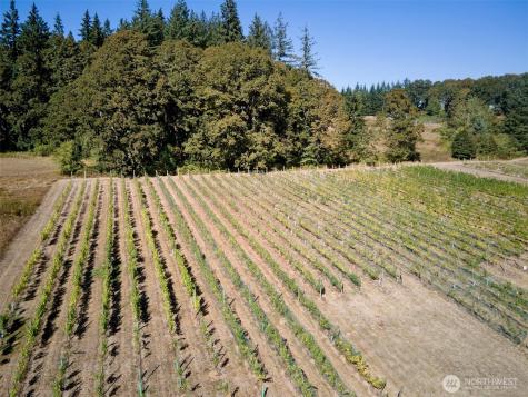 11700 NE 279th Street Battle Ground WA 98604