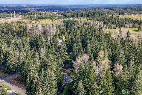4701 292nd Street E Graham WA 98338