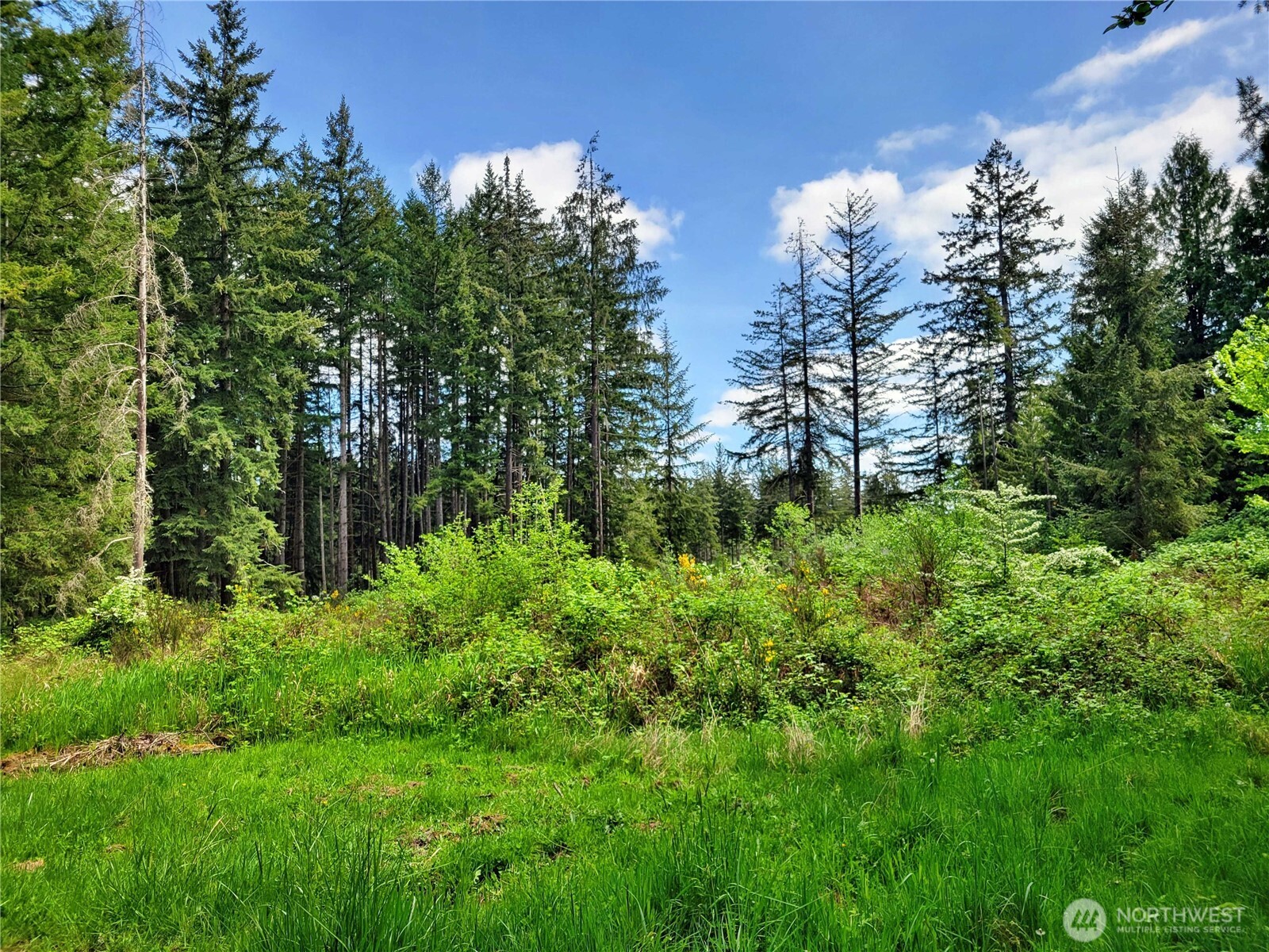 213 Sommerville Road Chehalis WA 98532