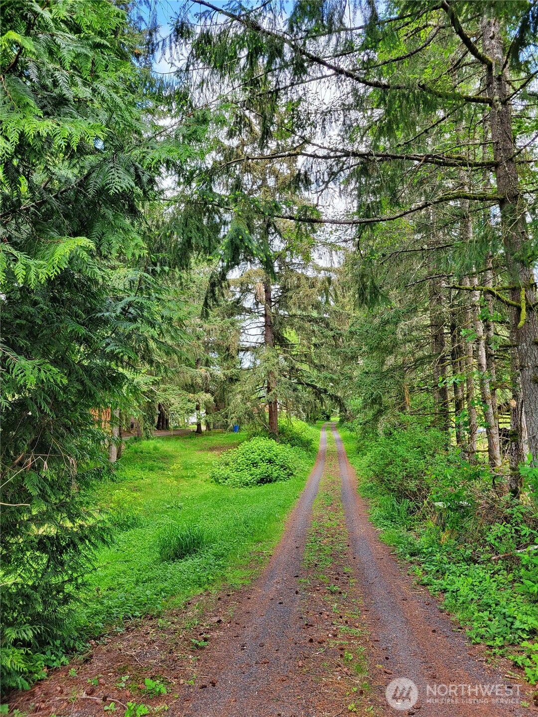 213 Sommerville Road Chehalis WA 98532