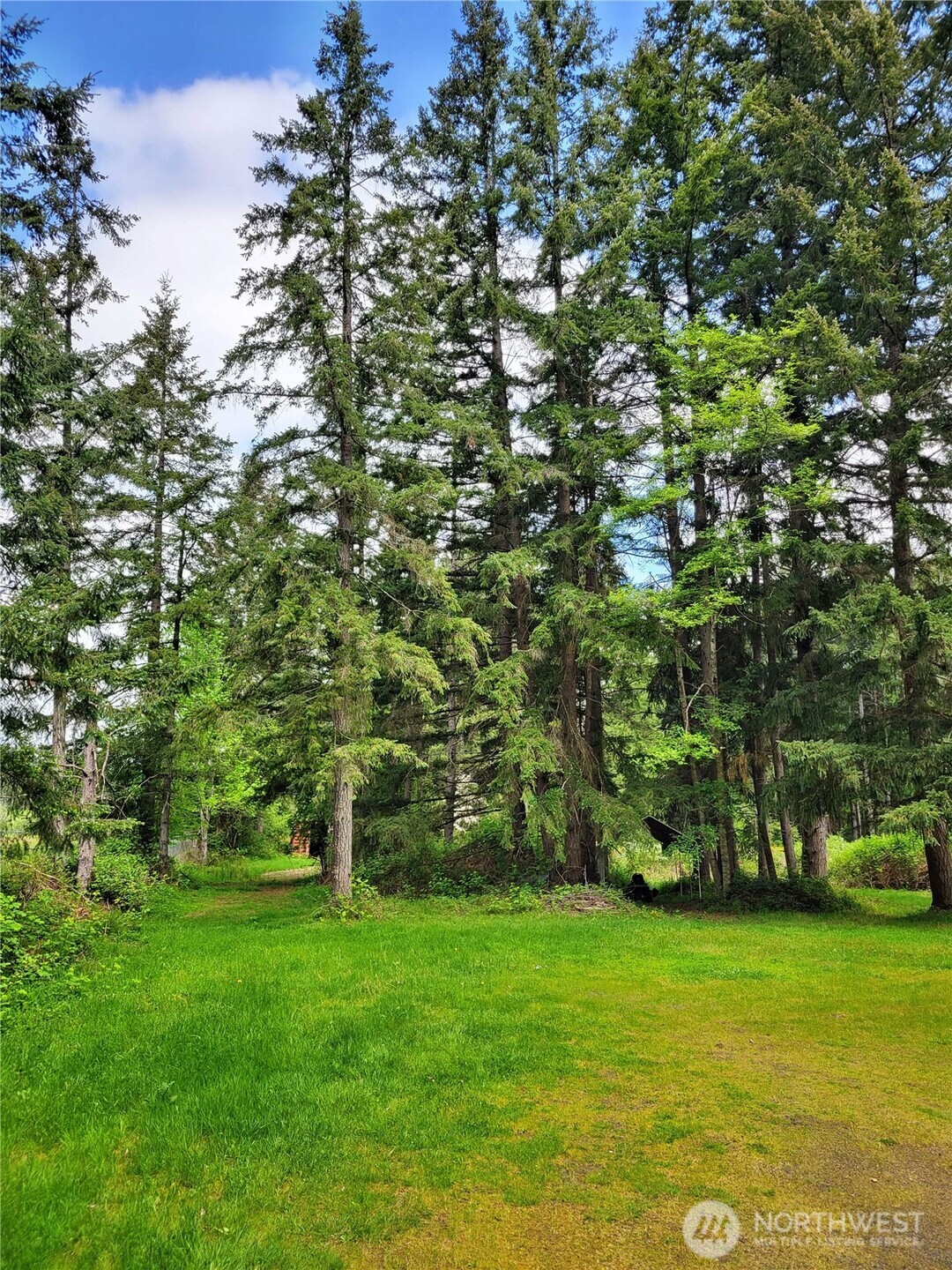 213 Sommerville Road Chehalis WA 98532
