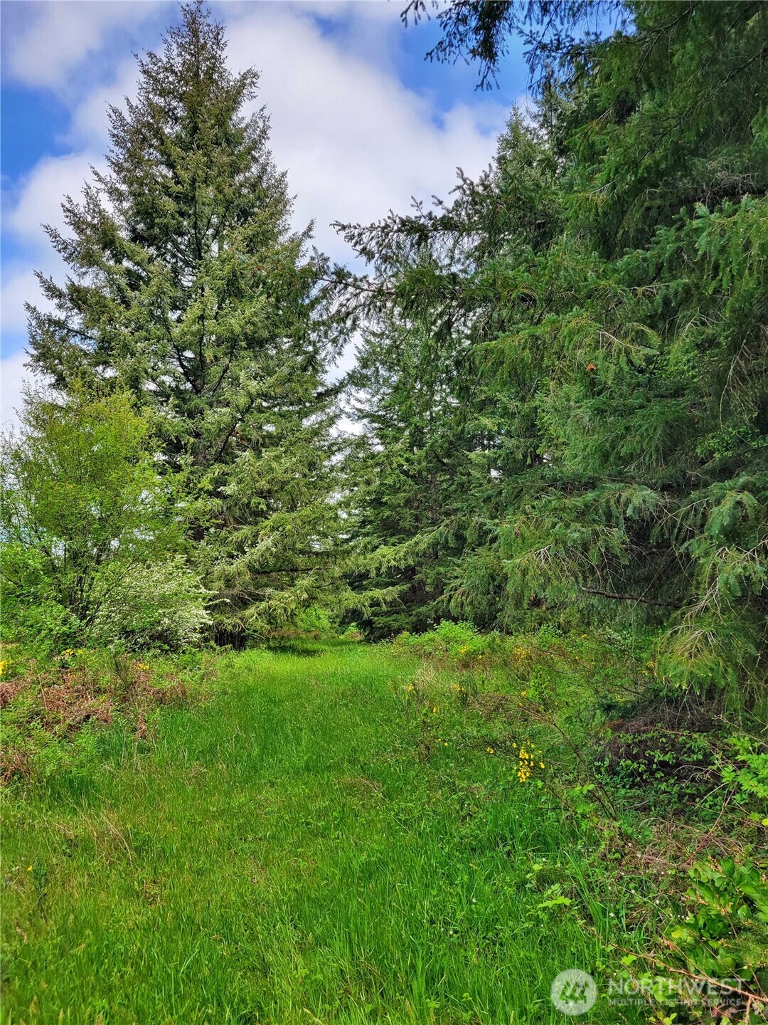 213 Sommerville Road Chehalis WA 98532