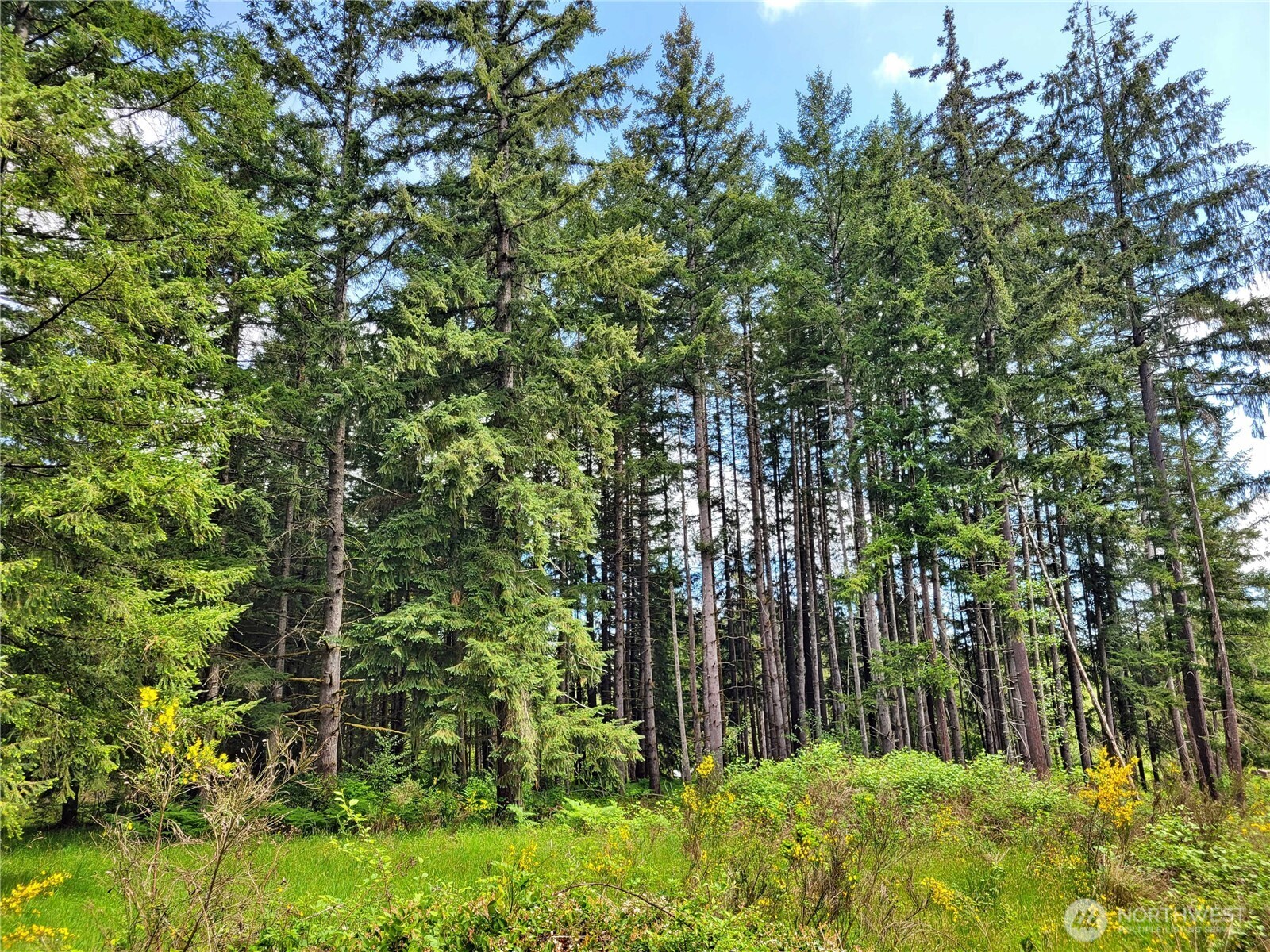 213 Sommerville Road Chehalis WA 98532