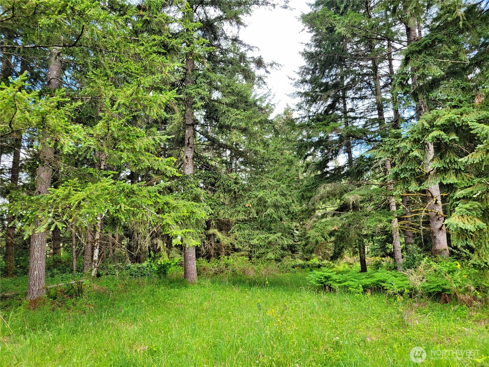 213 Sommerville Road Chehalis WA 98532