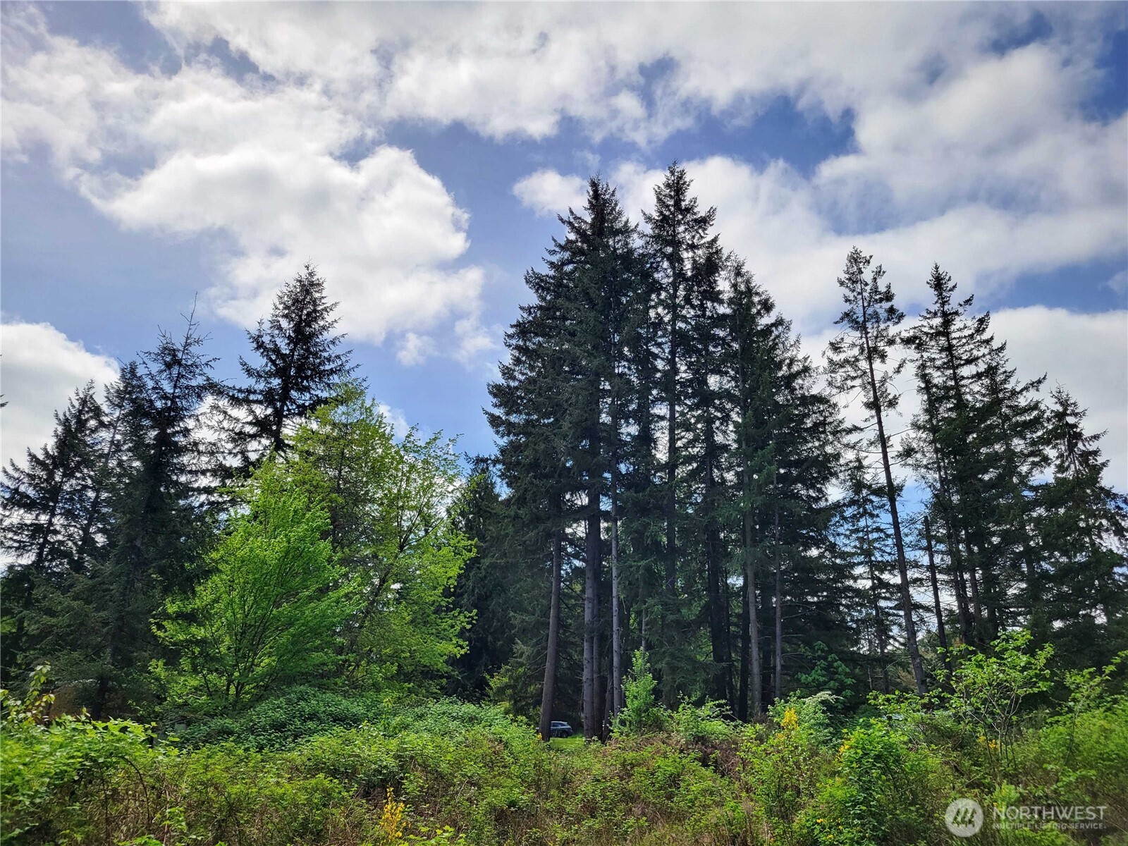 213 Sommerville Road Chehalis WA 98532