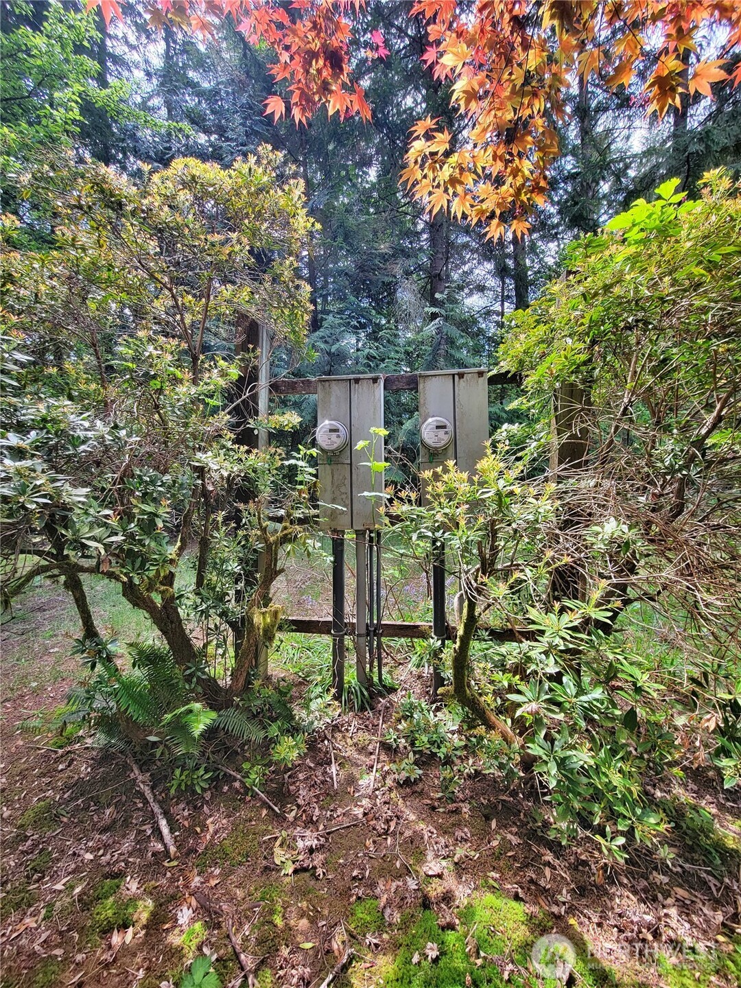 213 Sommerville Road Chehalis WA 98532