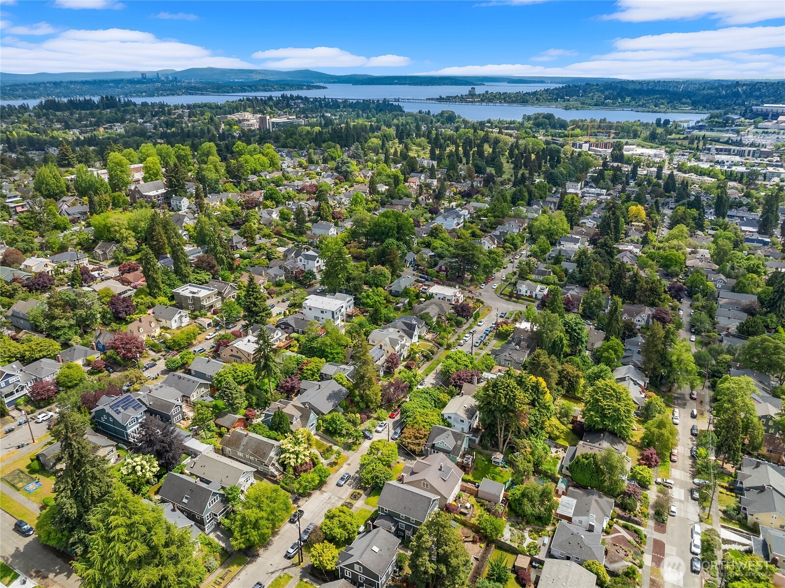 6054 29th Avenue NE Seattle WA 98115