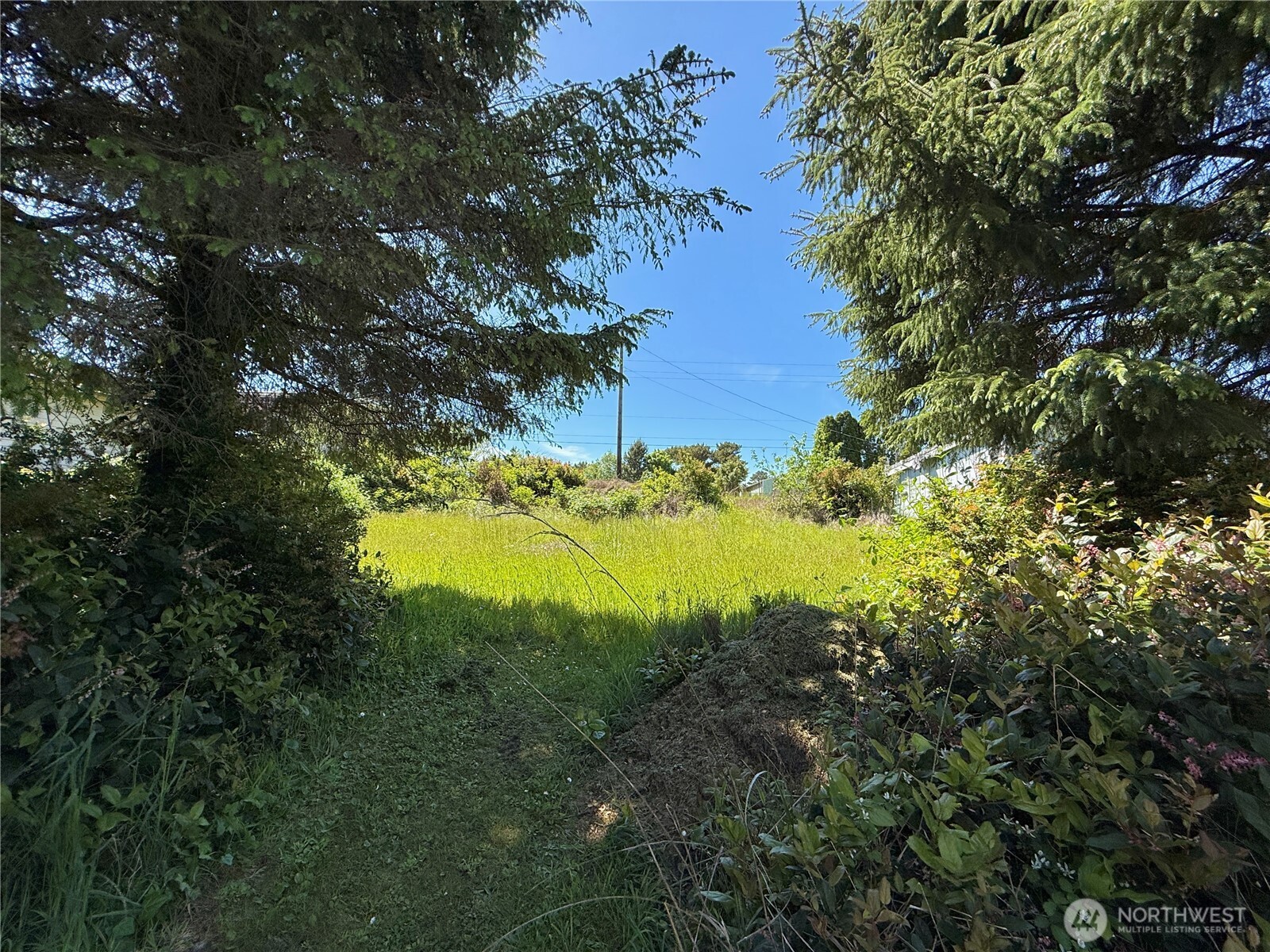 20105 P Place Ocean Park WA 98640