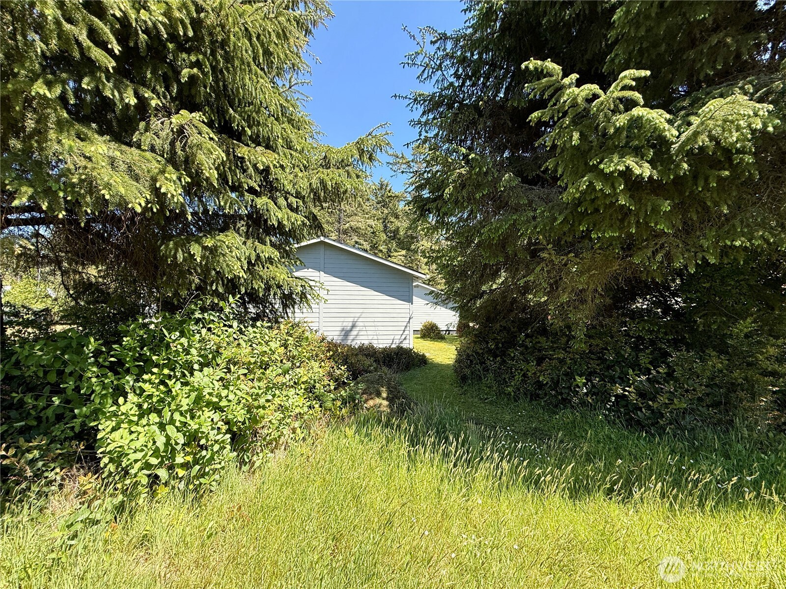 20105 P Place Ocean Park WA 98640