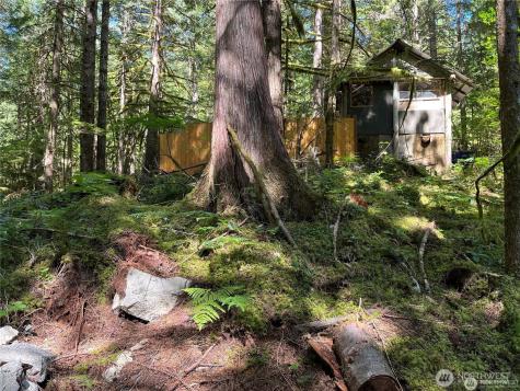 64308 Cascade River Road Marblemount WA 98267