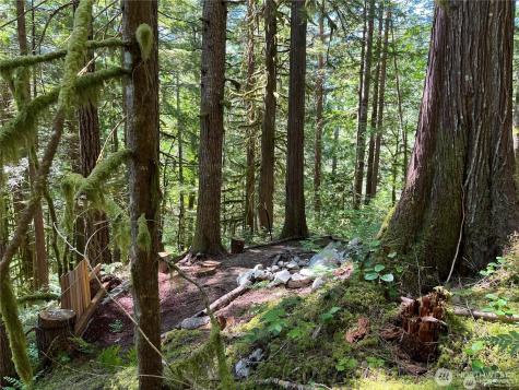 64308 Cascade River Road Marblemount WA 98267