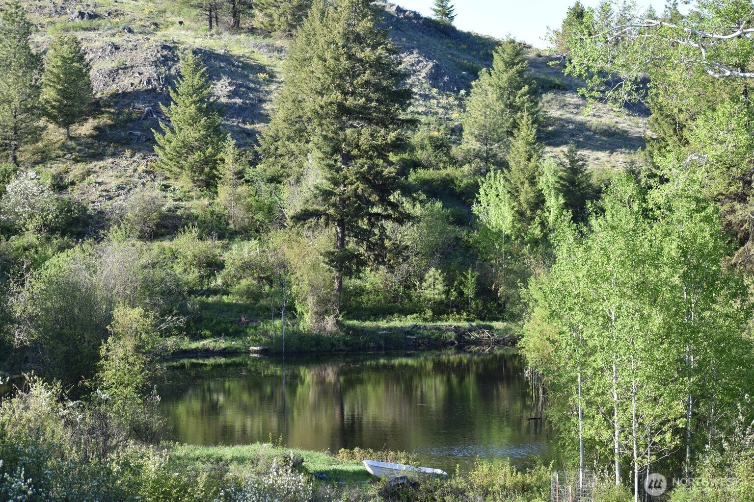 354 Vulcan Mountain Road Curlew WA 99118