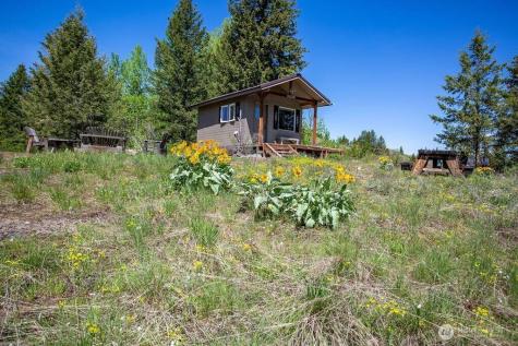 354 Vulcan Mountain Road Curlew WA 99118
