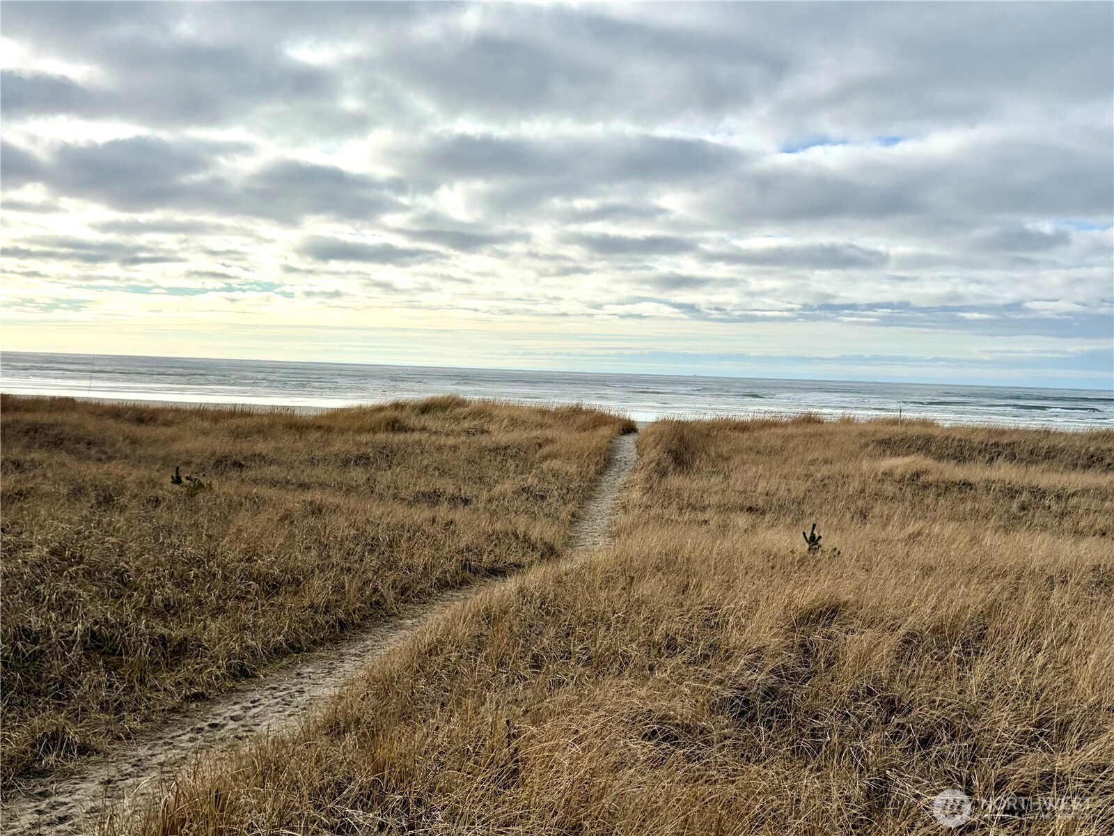 1215 199th Place Long Beach WA 98631