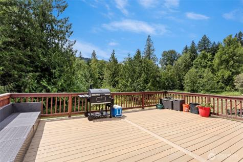 734 Davis Lake Road Morton WA 98356