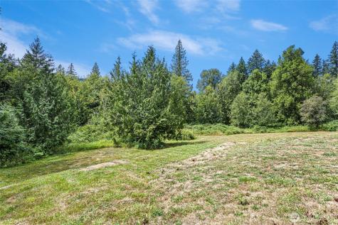 734 Davis Lake Road Morton WA 98356