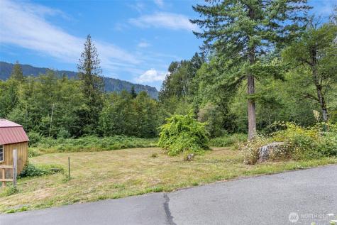 734 Davis Lake Road Morton WA 98356