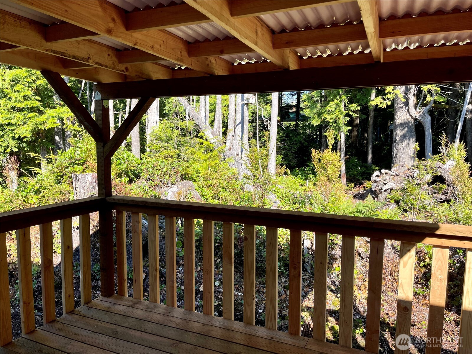 55 Paradise Lane Pacific Beach WA 98571